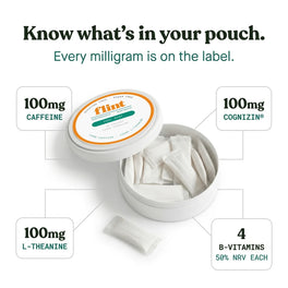 Flint Cool Mint Caffeine Nootropic Pouches
